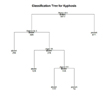 Classification Tree